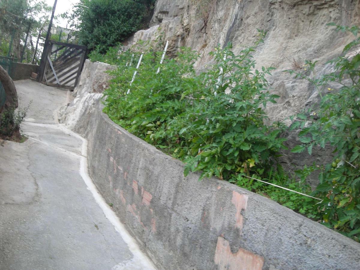B&B L'Arcobaleno Sorrento Exterior foto