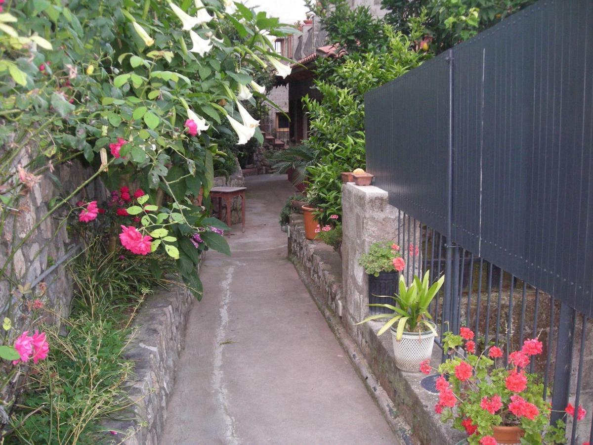 B&B L'Arcobaleno Sorrento Exterior foto
