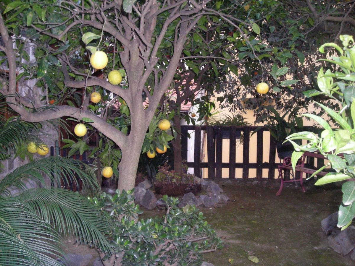 B&B L'Arcobaleno Sorrento Exterior foto