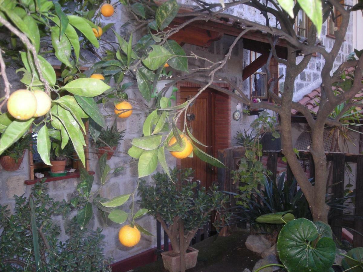 B&B L'Arcobaleno Sorrento Exterior foto