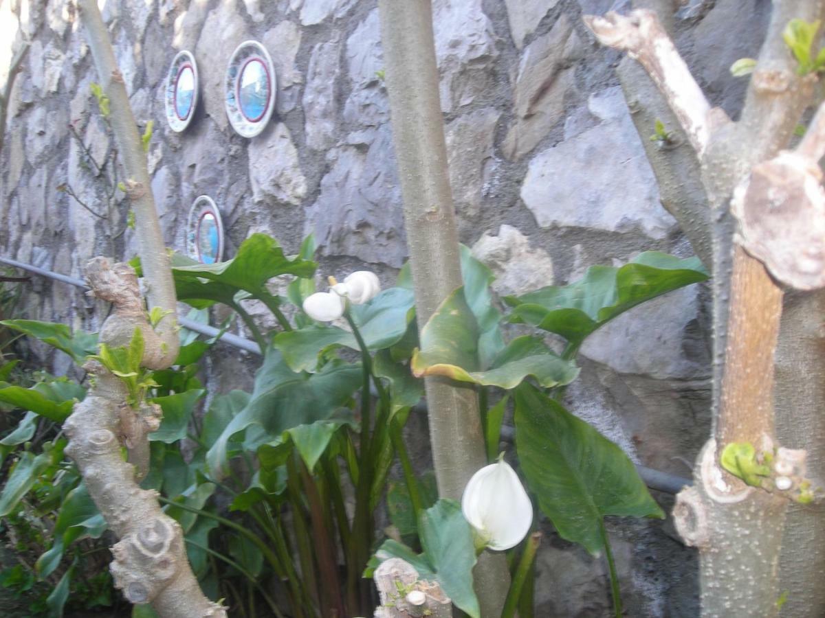 B&B L'Arcobaleno Sorrento Exterior foto