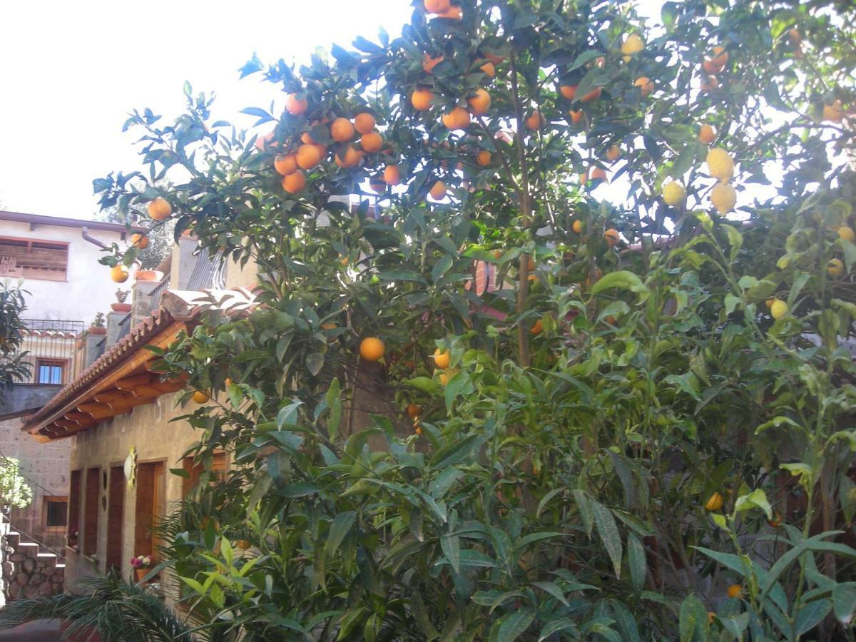B&B L'Arcobaleno Sorrento Exterior foto