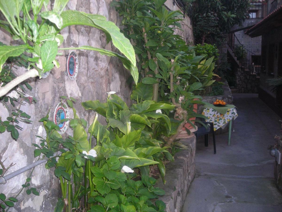 B&B L'Arcobaleno Sorrento Exterior foto