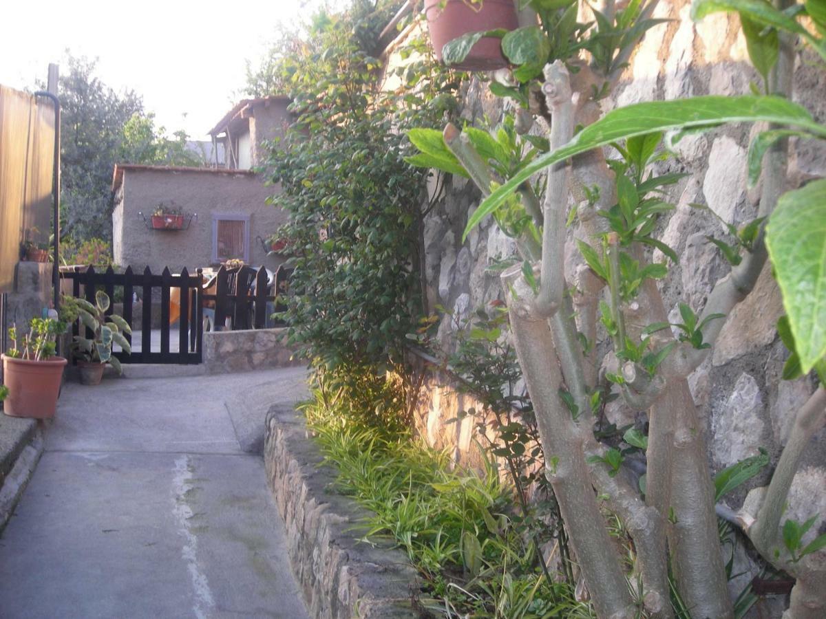 B&B L'Arcobaleno Sorrento Exterior foto