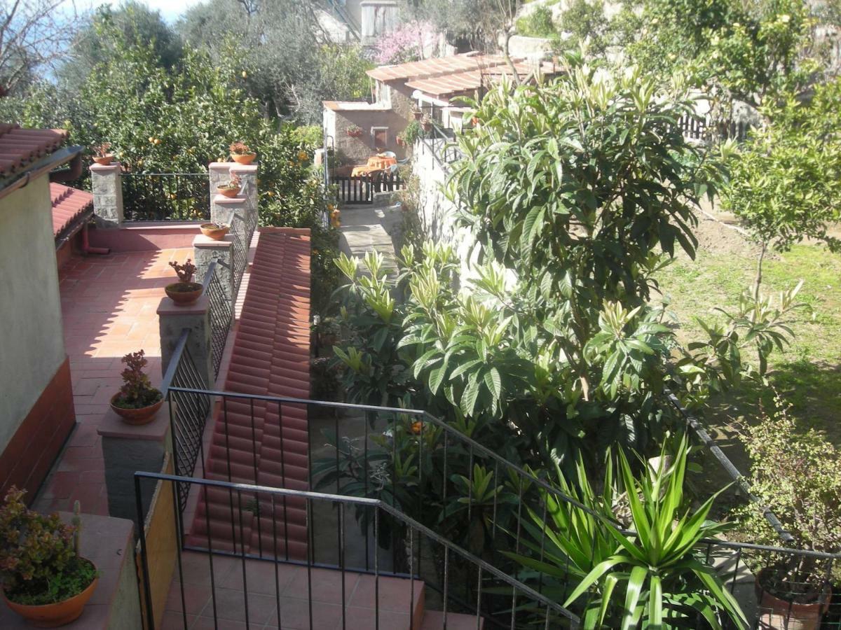 B&B L'Arcobaleno Sorrento Exterior foto